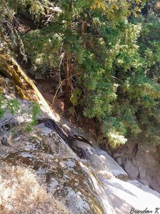 Castle Rock Falls