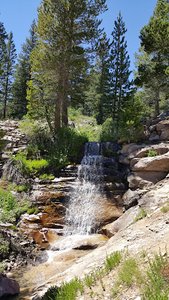 Sardine Falls