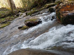 Fighting creek Nature trailhead