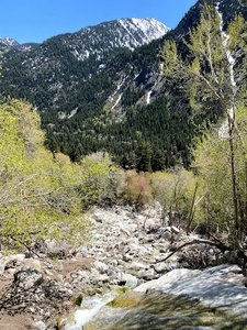 Lisa Falls