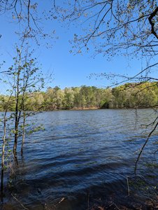 MST Falls Lake