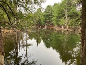 Fingerlakes Trail – Hoxie Gorge Road Acess Trail Trailhead