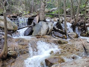 Mt Lowe Rd Trailhead