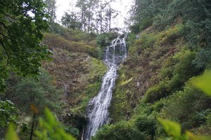 Munson Creek Falls State Natural Site