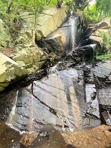 Inglis Falls