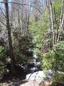 Limpy Creek