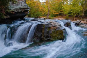 Turkey Creek Nature Preserve