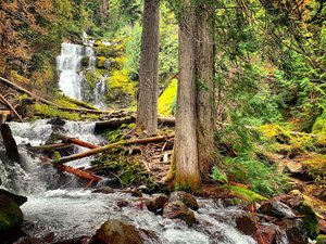 Linton Falls