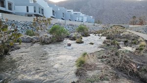 Tahquitz Creek Footbridge and Trail