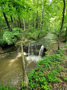 Calli Nature Preserve-Rock Rest Falls