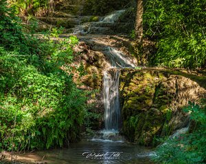 Gorman Falls