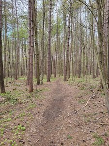 Inman Glide Trail Head