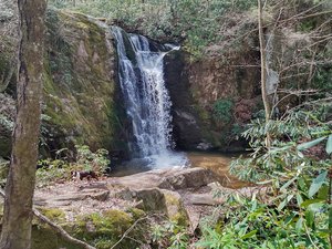 Wolf creek Falls Trailhead