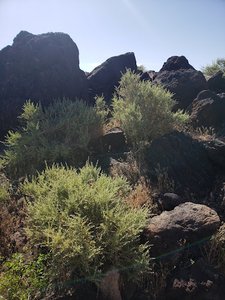 Fossil Falls Trailhead