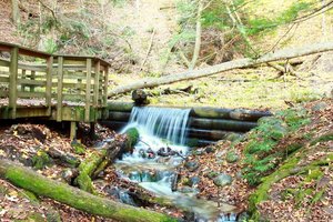 Iargo Springs