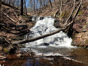 Wintergreen Falls
