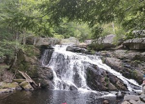 Upper Purgatory Fall Trail Head Parking