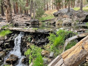 McCauley Warm Springs
