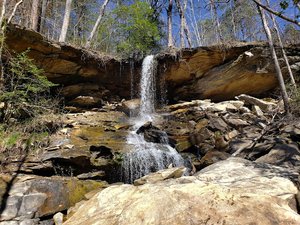 Contentment Falls Spring Cave