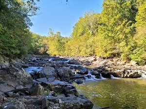 Savage Mill Trail