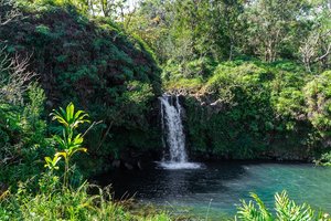 Waterfall, Chocolate Tour, Rainforest, Historical Sites, Grab 20% Off with Code gift20, At Kings Gardens Maui