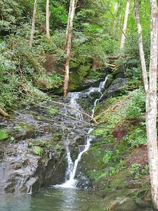 Water Fall