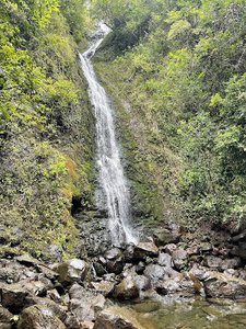 Mānoa Falls