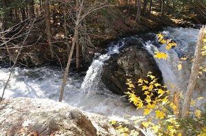 Salmon Falls Reserve