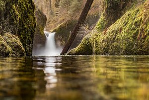 Punch Bowl Falls