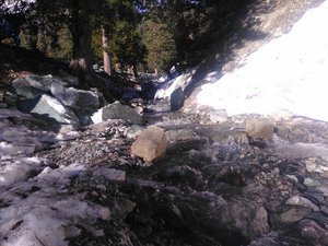 Mt Baldy Trailhead