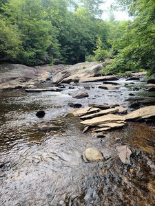 Boone Fork Trail