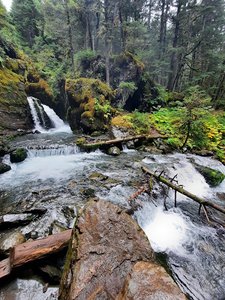 Virgin Creek