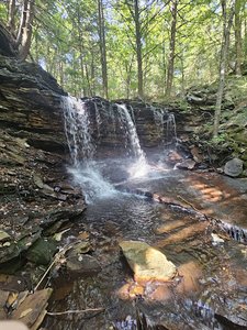 Bradford Falls