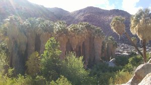 Borrego Palm Canyon Trailhead