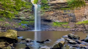 Cedar Falls Trailhead