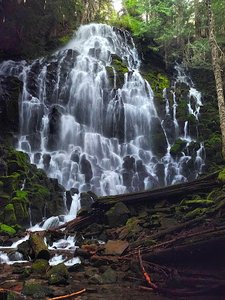 Ramona Falls Trailhead