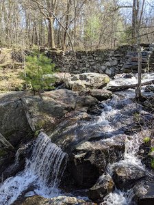 Mill Street Bike Trails (Trail Head)