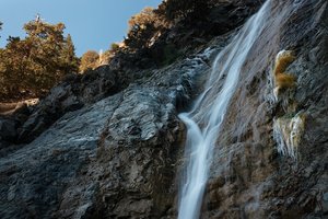 Angeles National Forest