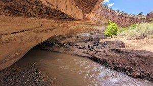 Sulphur Creek Trail Head