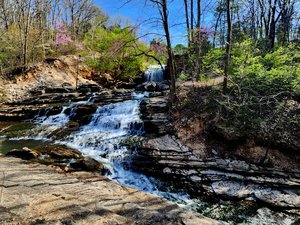 Tanyard Creek
