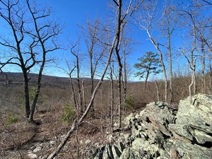 Buzzard Hill