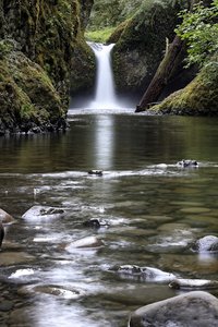 Punch Bowl Falls