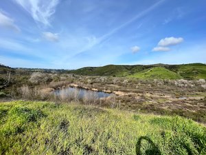 Lopez-Penasquitos canyon confluence