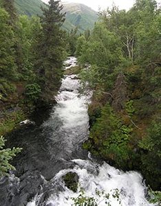 Russian River Falls Trailhead
