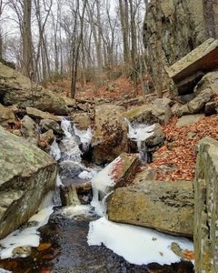 Devil’s Den Preserve