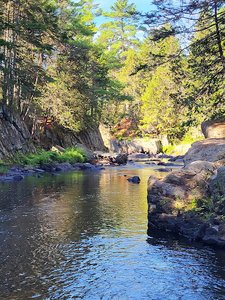 Warren Falls
