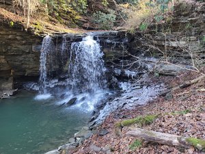 Piney Creek Preserve