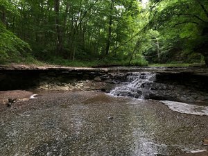 Hathaway Nature Preserve Loop trailhead
