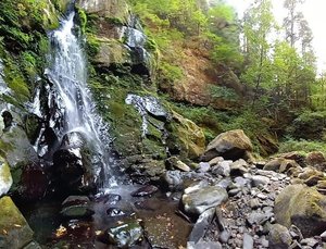Elk Creek Falls Trailhead