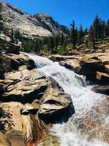 LeConte Falls